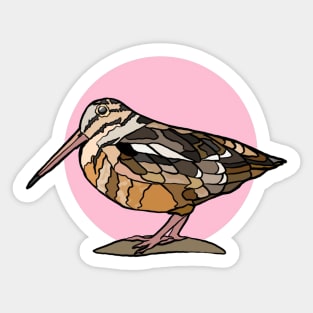 American Woodcock on Pink Sticker